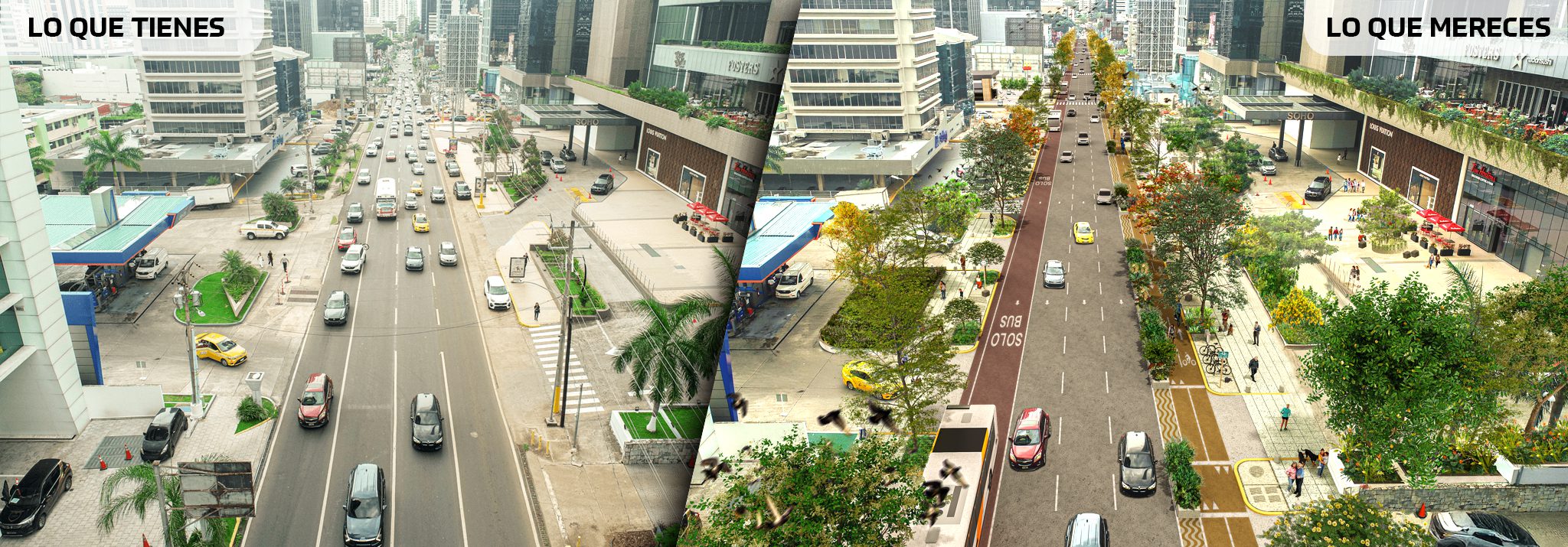 Descripción de la imagen