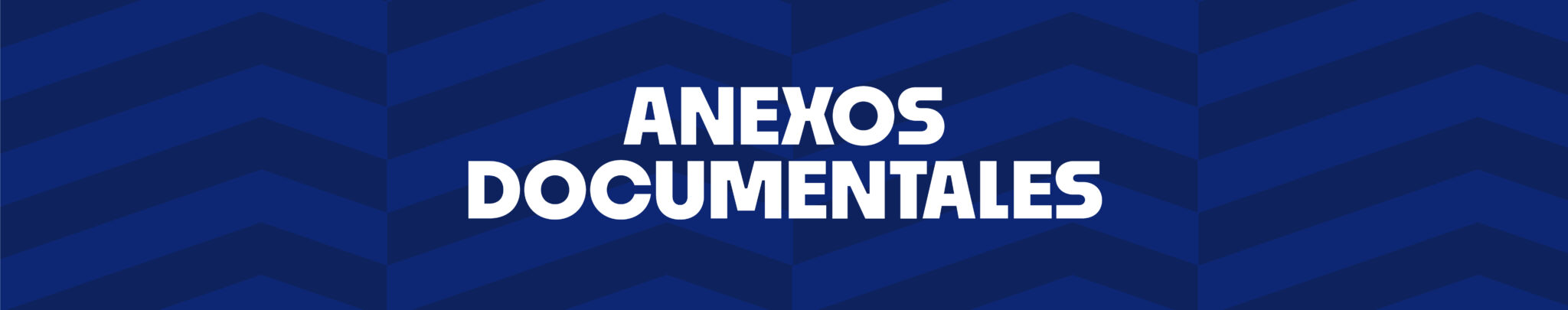 ANEXO-DOCUMENTALES_
