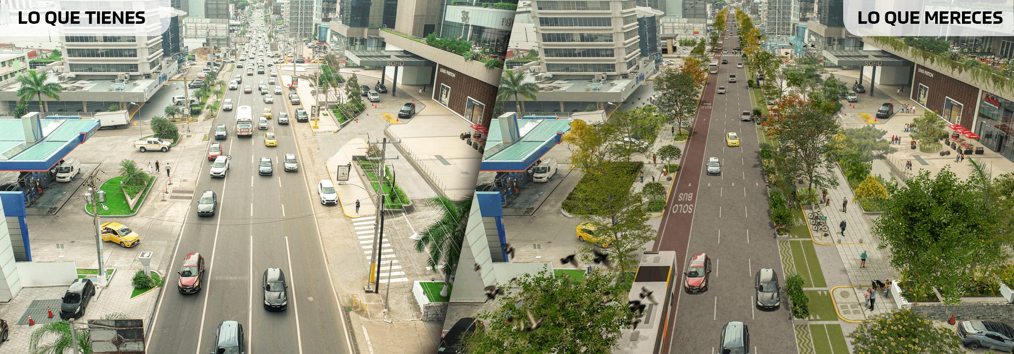 Descripción de la imagen